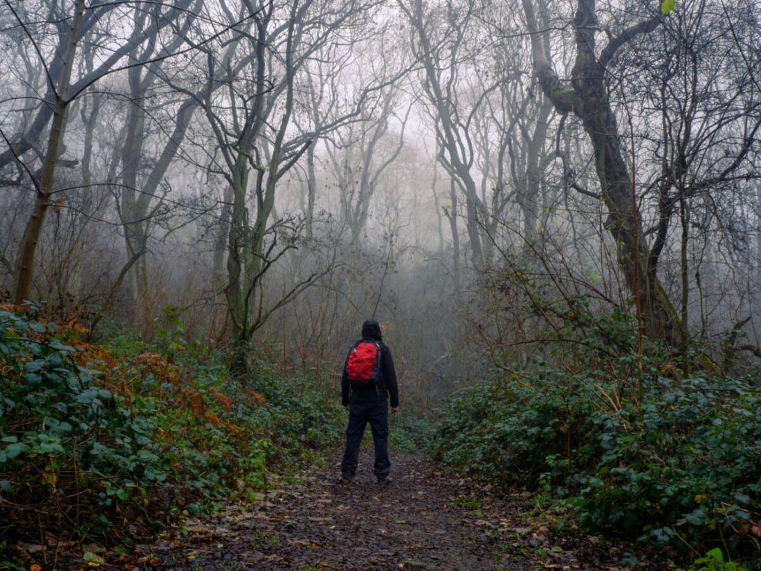 A person wearing a backpack in the forest