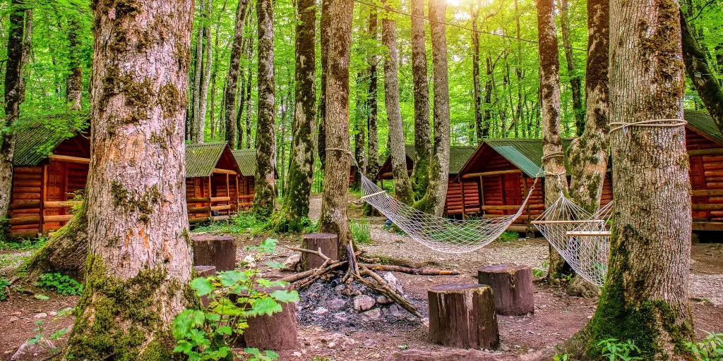 Cabins in a primitive forest, surrounding a burned-out campfire with cut logs as benches